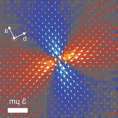 Visualization of bulk and edge photocurrent flow in anisotropic Weyl semimetals