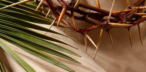 Thorns and palm fronds